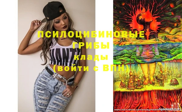 тгк Абинск