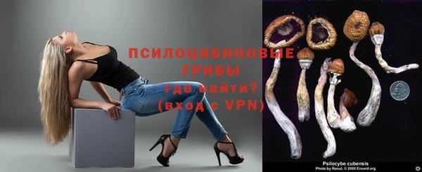 тгк Абинск