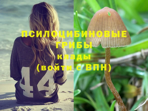 ешки Абдулино