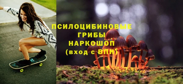 тгк Абинск